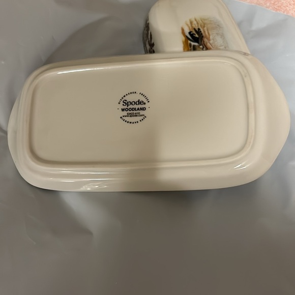 Spode Woodland - Picture 5 of 11